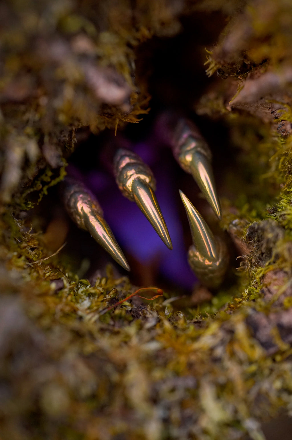 Dragon claw【Titanium】